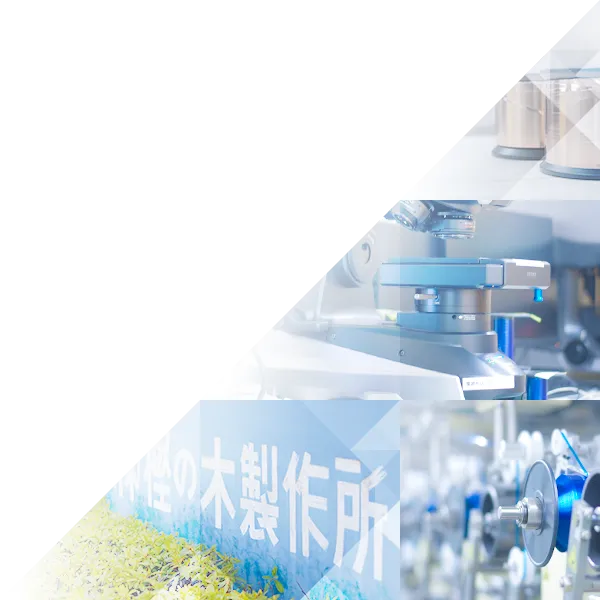 Oak-trees philosophy visual